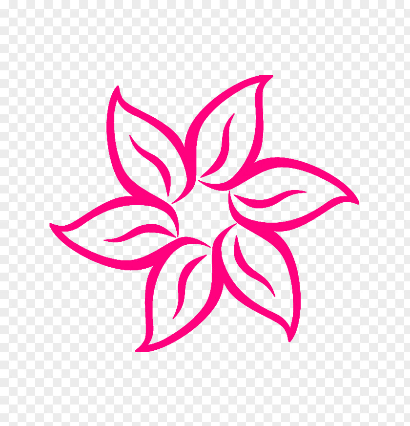 Flower Drawing Cartoon PNG