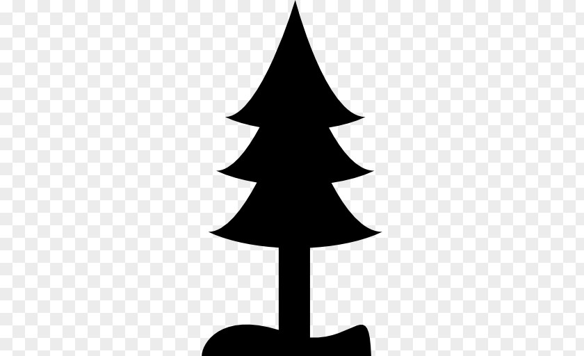 Pine Vector Tree Clip Art PNG
