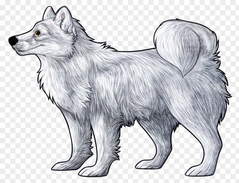 Samoyed Dog Canadian Eskimo Icelandic Sheepdog Sakhalin Husky Breed Non-sporting Group PNG