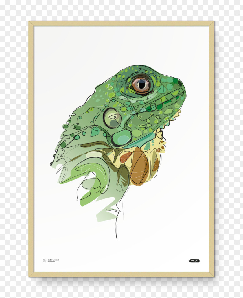 Tea Green Iguana Fauna Poster PNG