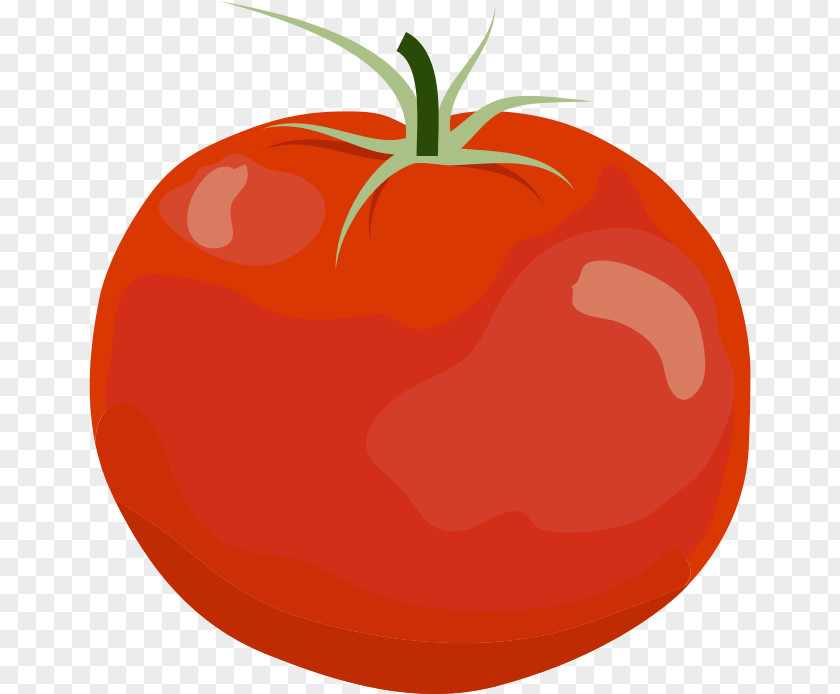 Tomato Plum Clip Art Bell Pepper Openclipart PNG