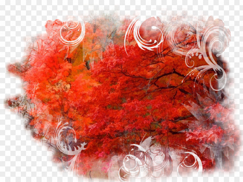 Autumn Red Collage Flower Clip Art PNG