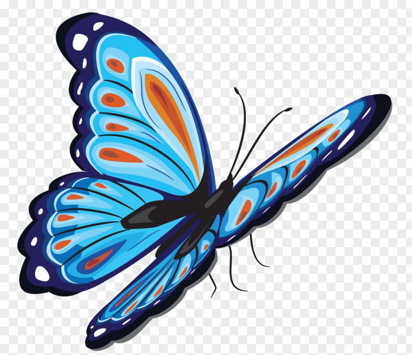Butterfly Clip Art Brush-footed Butterflies Image PNG