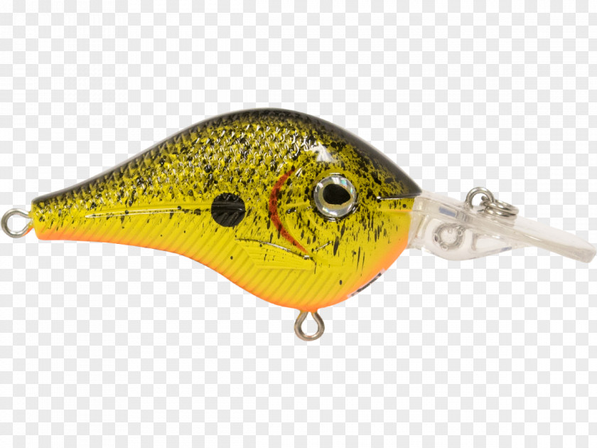 Fish Spoon Lure AC Power Plugs And Sockets PNG
