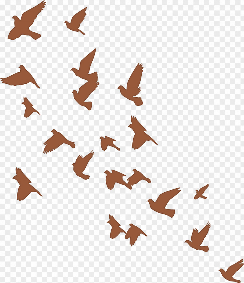 Flying Birds Background PNG