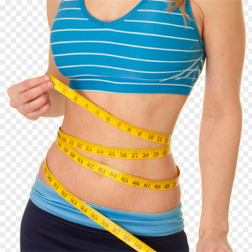 Health Weight Loss Anti-obesity Medication Abdominal Obesity Flat Belly Diet! Adipose Tissue PNG