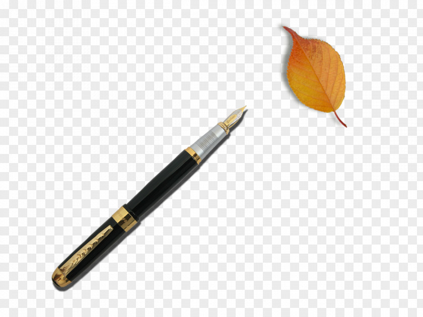 Pen,leaf Fountain Pen Paper Quill PNG