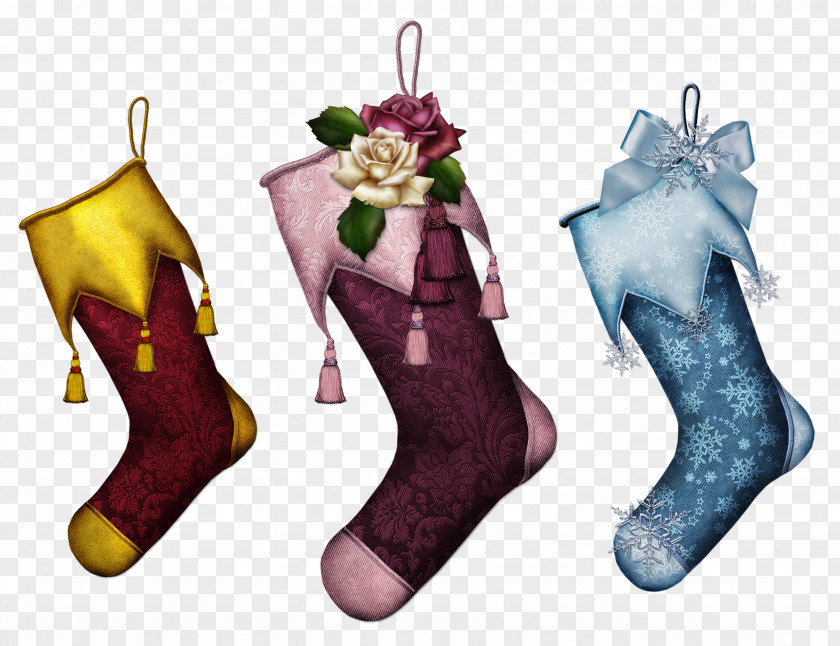 Salamander Christmas Stockings Boot Shoe PNG