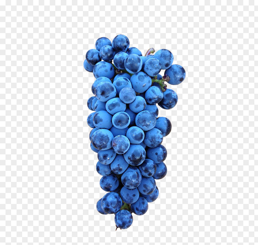 Uvas Grape Blueberry Bilberry Superfood Cobalt Blue PNG