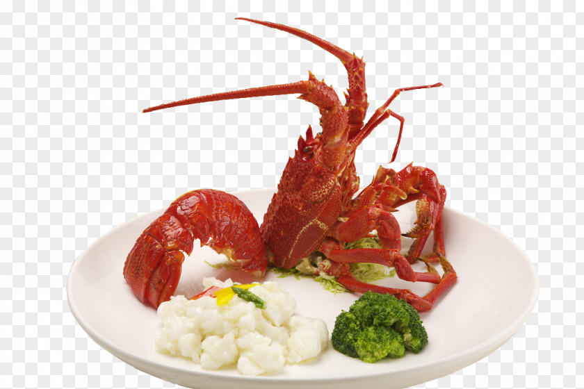 Australia Wine Champagne Lobster Seafood PNG Seafood, Beautifully braised lobster clipart PNG