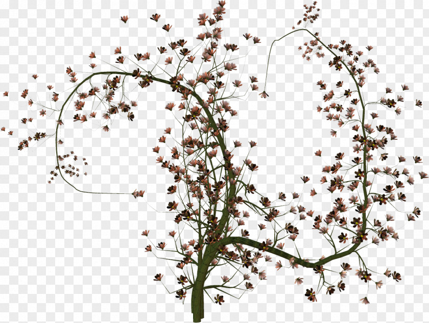 Bomen Silhouette Twig Tree Painting Plants PNG