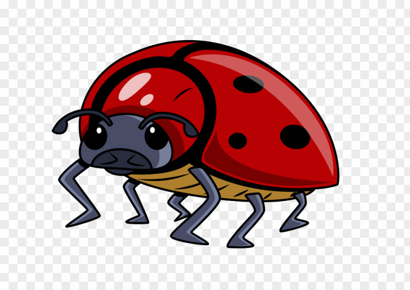 Cartoon Ladybug Caricature Euclidean Vector Illustration PNG