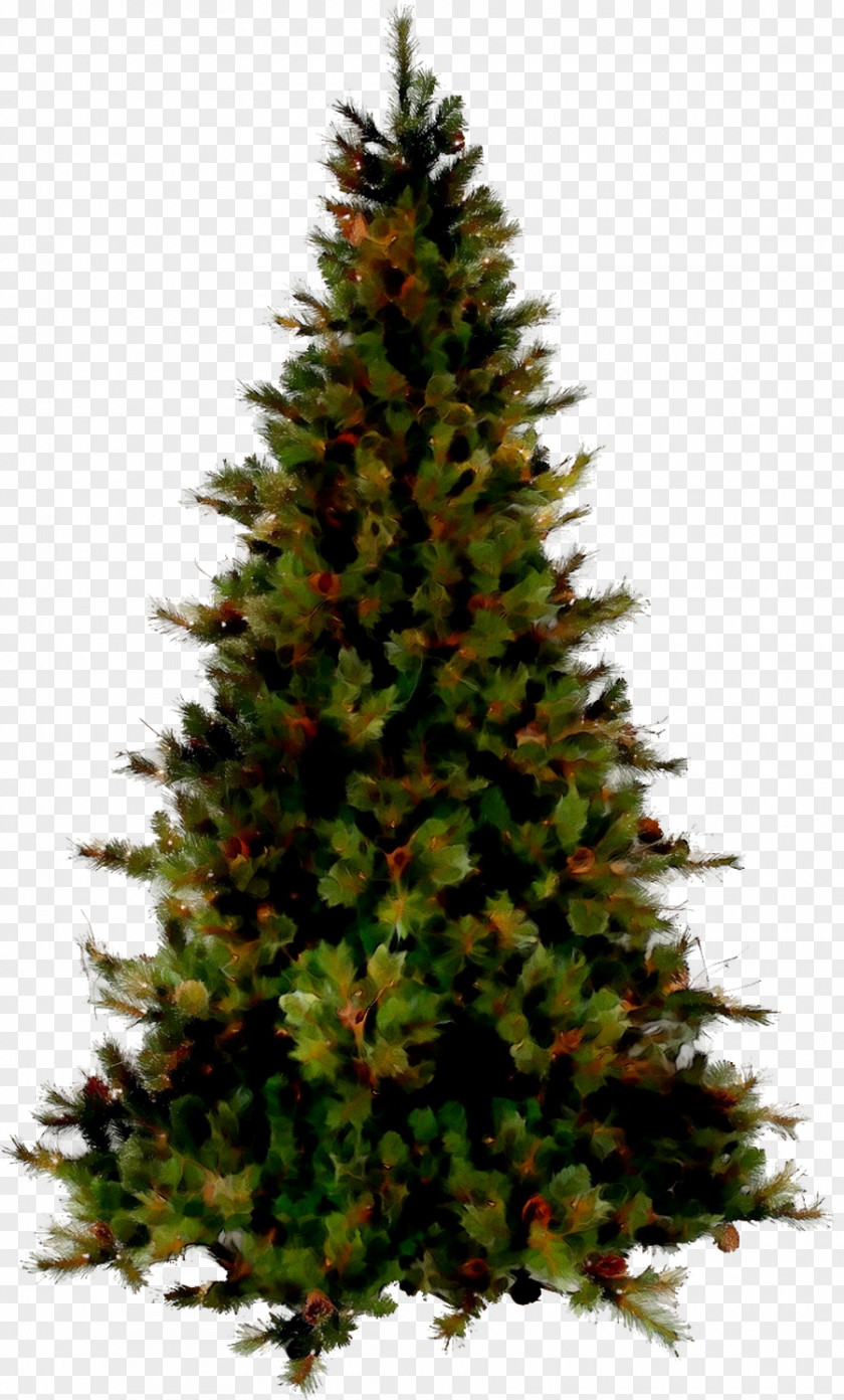 Christmas Tree Image Day Vector Graphics PNG