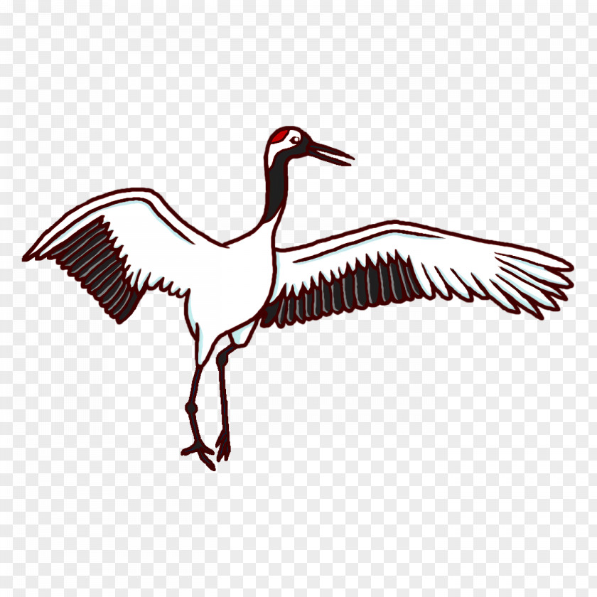 Feather PNG