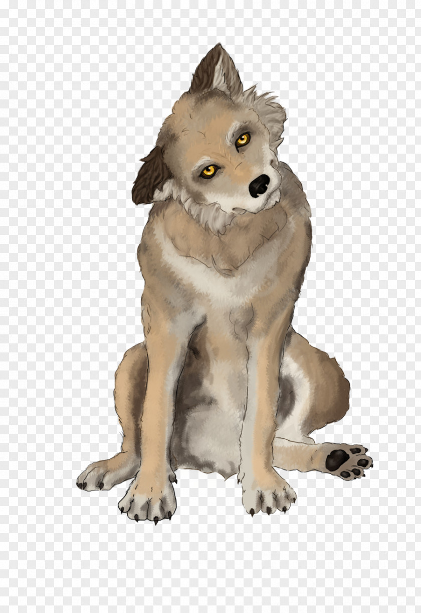 Wolf Creative Wolfdog Red Fox Fur Cat Painting PNG