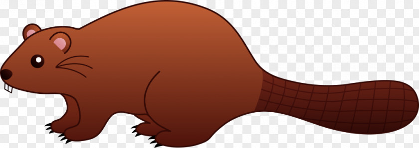 Beaver Clip Art PNG
