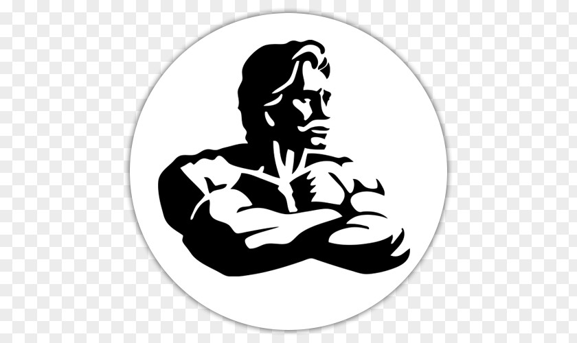Bodybuilding Mr. Olympia Physical Fitness Centre Bench PNG