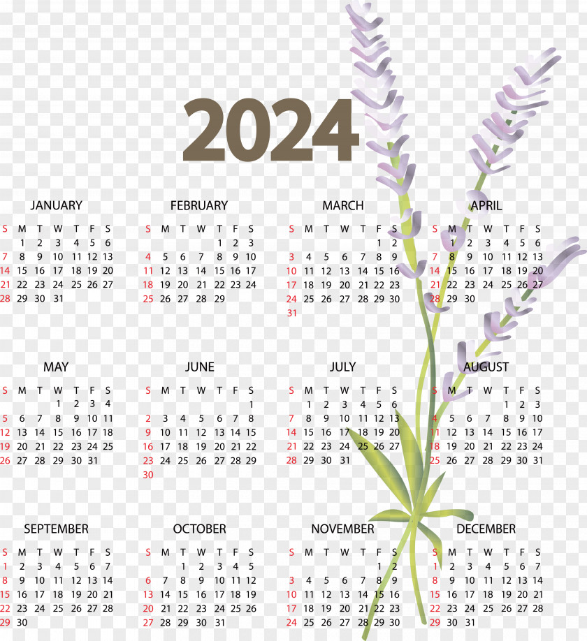 Calendar 2023 Calendar 2024 2021 PNG