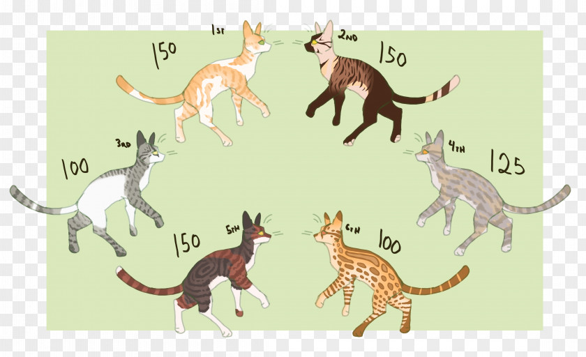 Charity Fundraisers Cat Kangaroo Horse Illustration Mammal PNG