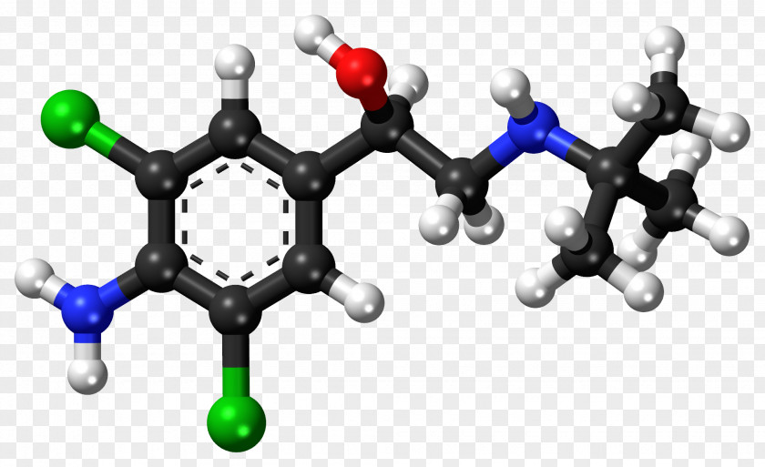 Clen Caffeic Acid P-Coumaric Amino Carboxylic PNG
