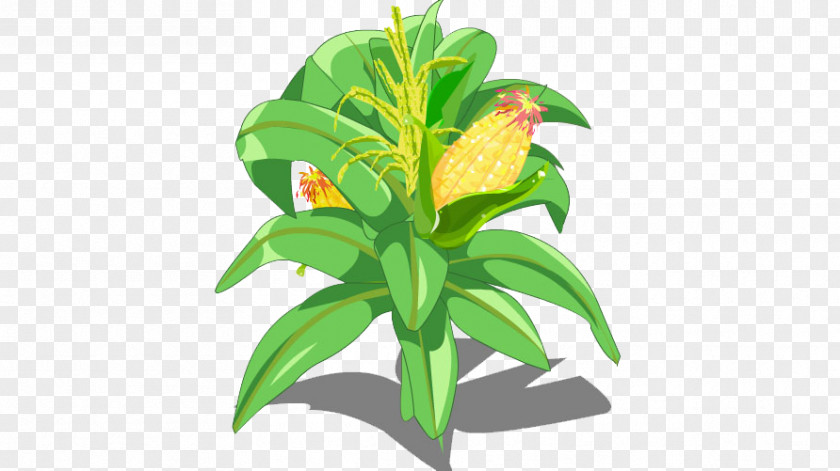 Corn Fruit Tree PNG