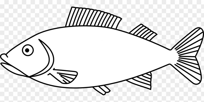 Fish Coloring Book Fishing Child PNG