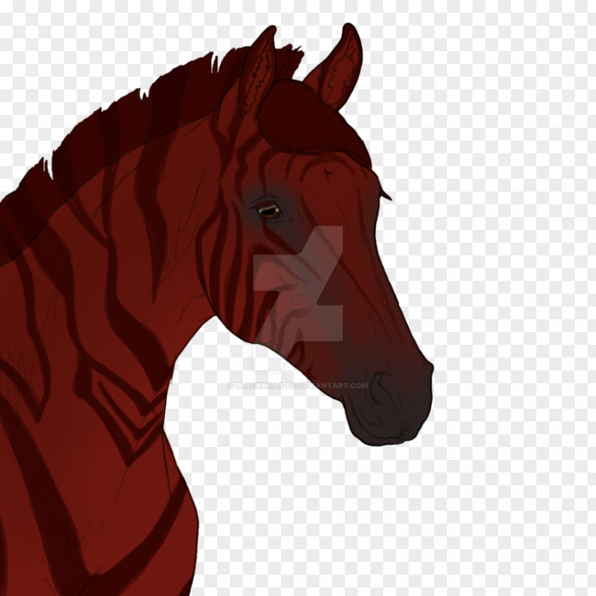 Hunger Games Pony Mustang Stallion Halter Rein PNG