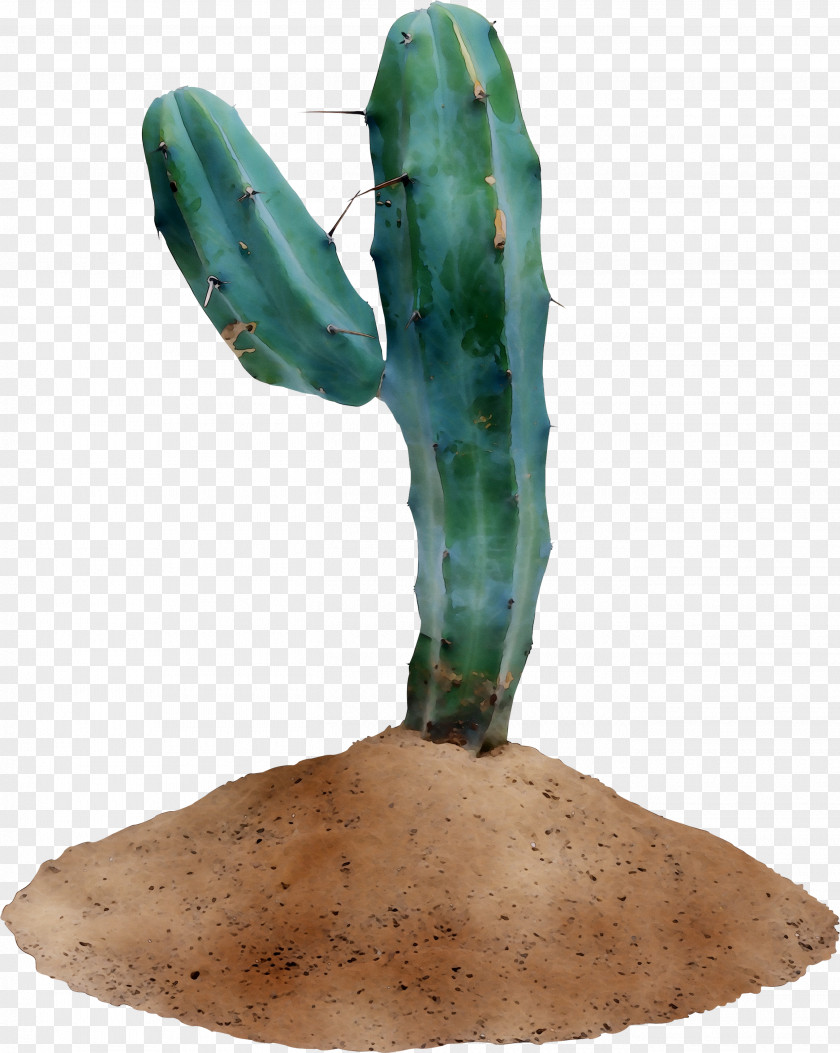 Prickly Pear PNG