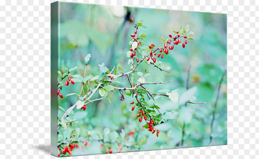 Watercolor Berries Canvas Print Printing Art Acrylic Paint PNG