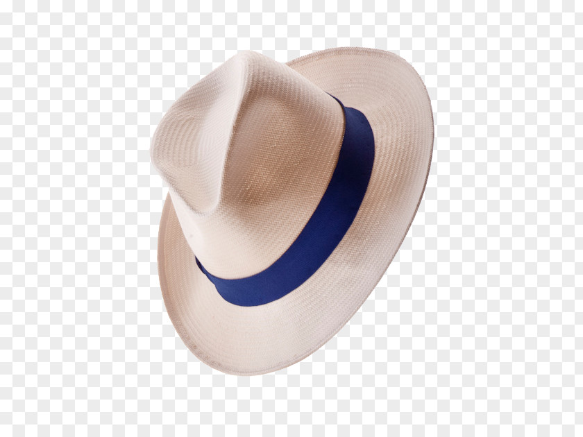 Beautiful Fashion Hat PNG