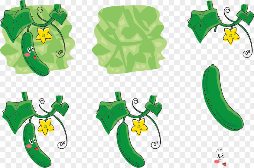 Cucumber With Flowers Expression Vector Sponge Gourd Vegetable Auglis PNG