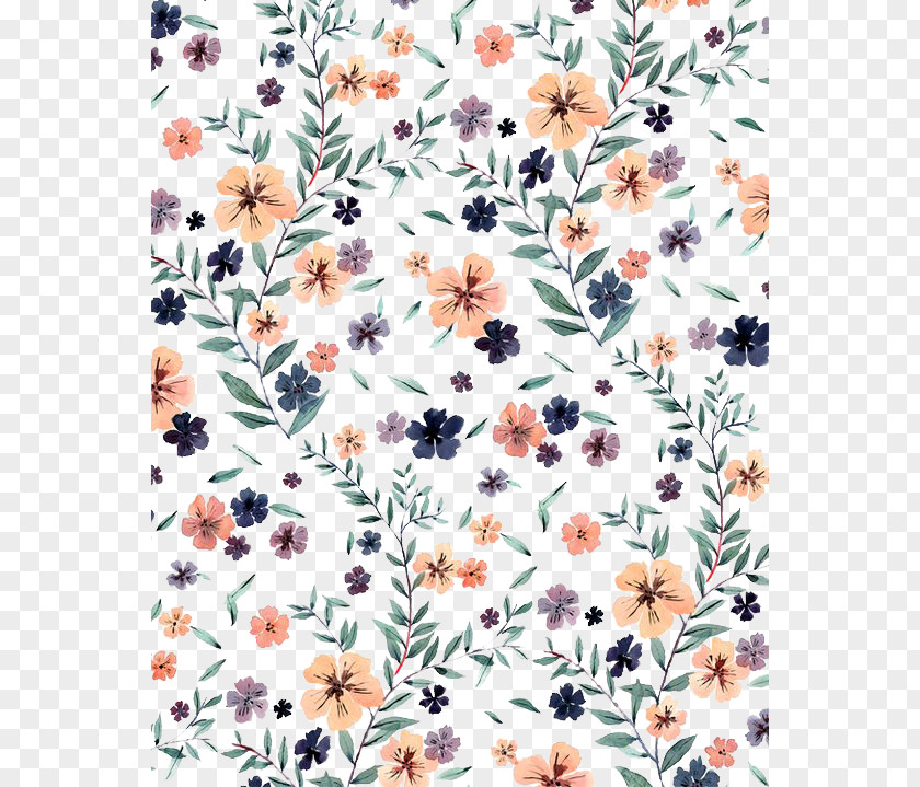 Floral Drawing Watercolor Painting Illustration PNG