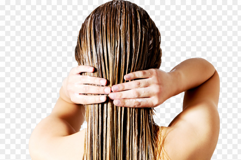 Hair Loss Conditioner Human Growth Shampoo PNG
