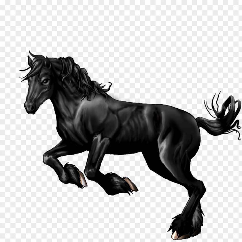 Mustang Stallion Pony Halter English Riding PNG
