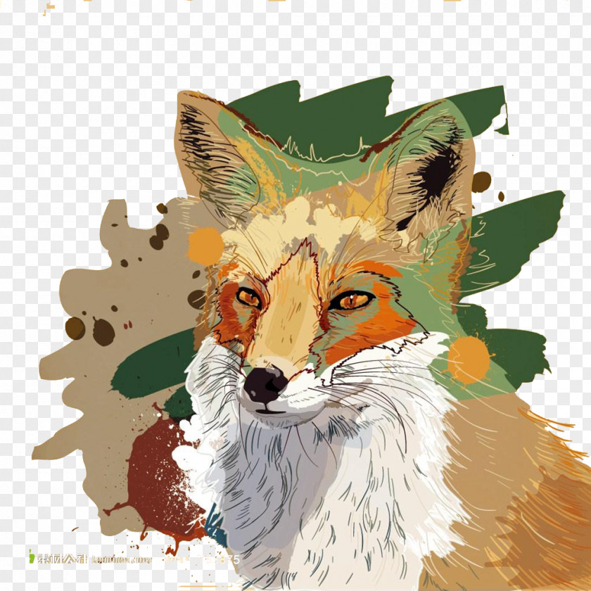 Painted Wolf Watercolor Painting Fox Illustration PNG