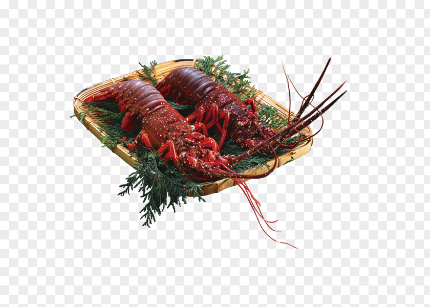 Two Large Lobster On A Plate Xuyi County Corn Soup Palinurus Barbecue European Cuisine PNG