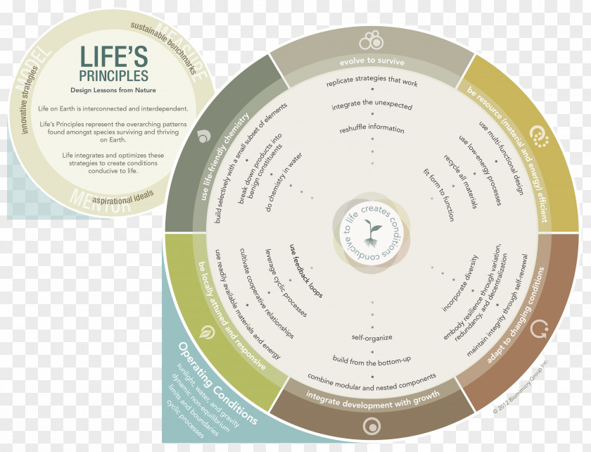 Earth Biomimetics Life Biology Bionics Nature PNG