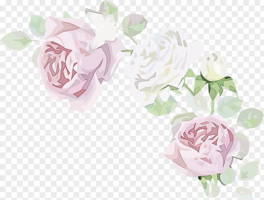 Floral Design PNG