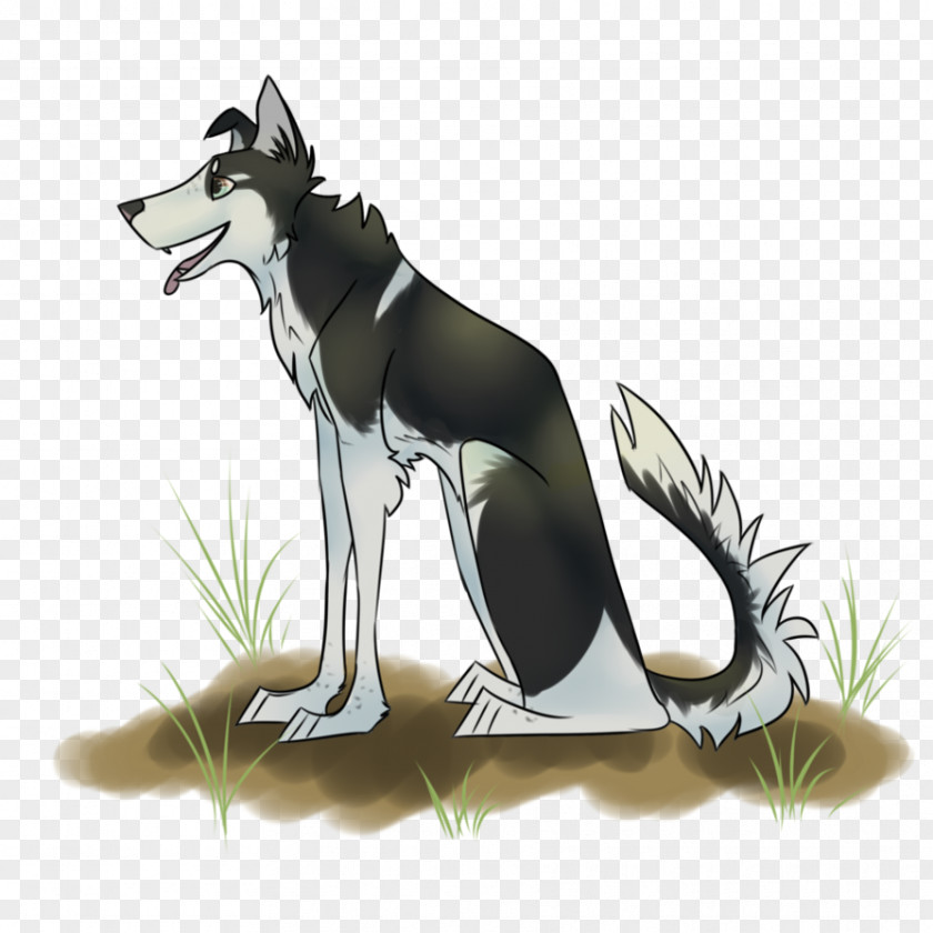 Husky Dog Breed Siberian Cartoon PNG