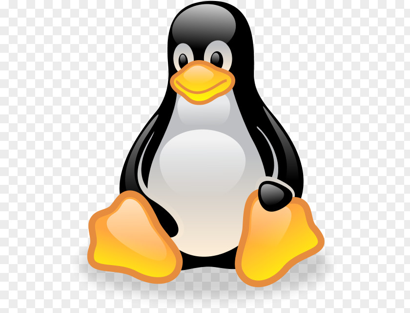 Shell Command Linux Clip Art File Format Image PNG