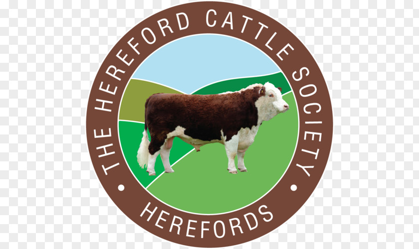 The Hereford Cattle Society Beefmaster Limousin Angus PNG