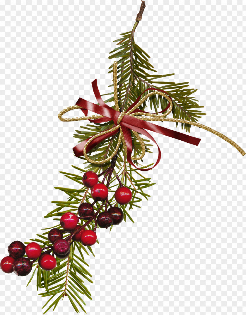 Christmas Decoration Ornament Tree PNG