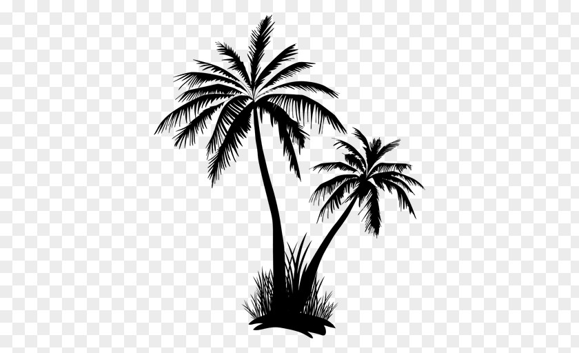 Coconut Tree Vector Arecaceae Clip Art PNG