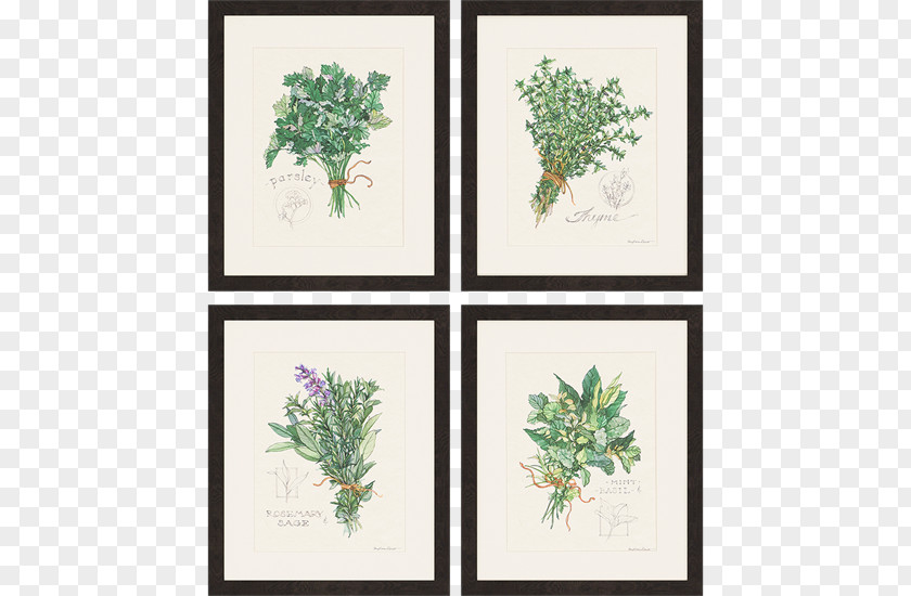 Herbs Frame Nursery Work Of Art Printmaking Room PNG