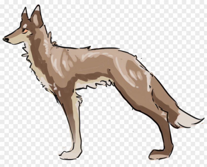 Prechristian Slavic Writing Saarloos Wolfdog Czechoslovakian Dingo Dog Breed Jackal PNG