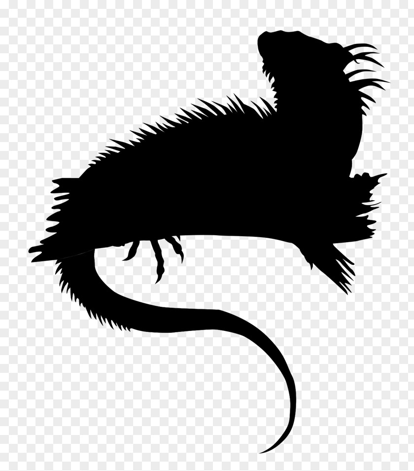 Carnivores Clip Art Character Silhouette Beak PNG