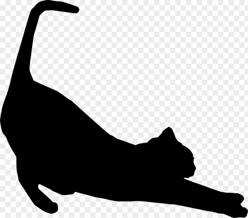 Cat Protection Society Of Victoria Silhouette Kitten Stretching PNG