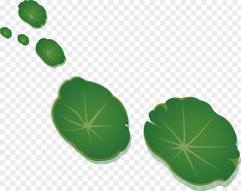 Green Lotus Leaf Nelumbo Nucifera Effect PNG