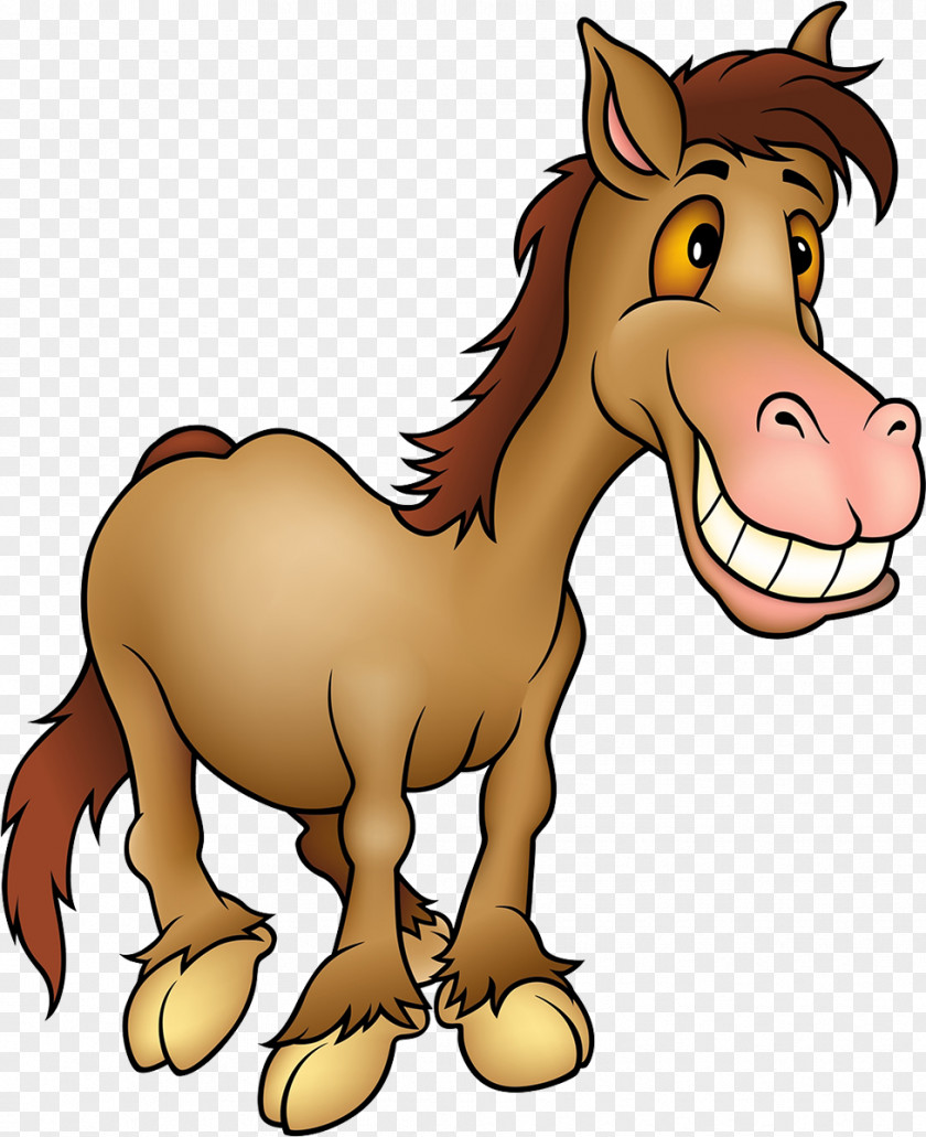 Horse Pony Clip Art PNG