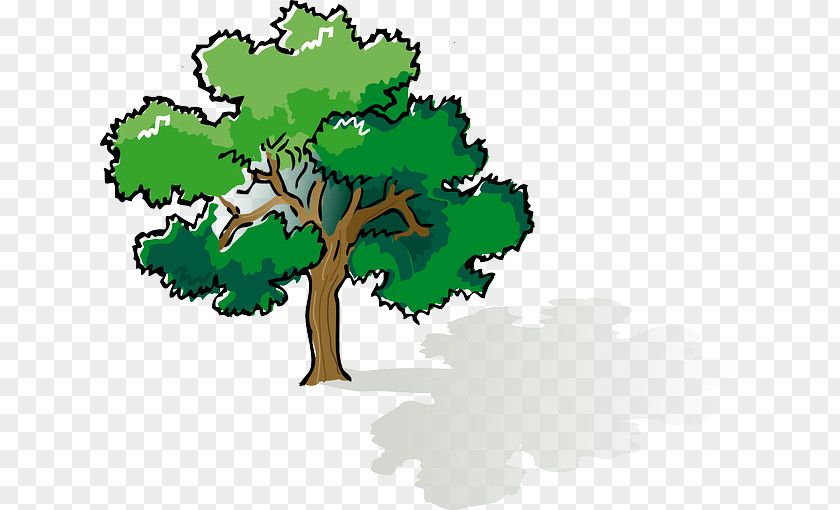 Environmental Nature Shade Tree Oak Clip Art PNG